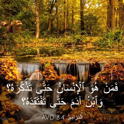 Picture 03 - اَلْمَزَامِيرُ 8:4 AVD - فَمَنْ هُوَ ٱلْإِنْسَانُ - Bible Verse Picture
