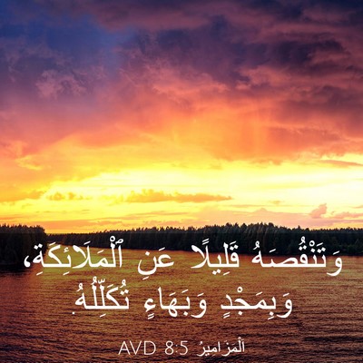 Picture 03 - اَلْمَزَامِيرُ 8:5 AVD - وَتَنْقُصَهُ قَلِيلًا - Bible Verse Picture