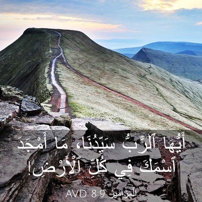 Picture 03 - اَلْمَزَامِيرُ 8:9 AVD - أَيُّهَا ٱلرَّبُّ - Bible Verse Picture
