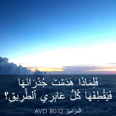 Picture 03 - اَلْمَزَامِيرُ 80:12 AVD - فَلِمَاذَا هَدَمْتَ - Bible Verse Picture