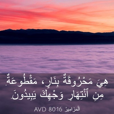 Picture 03 - اَلْمَزَامِيرُ 80:16 AVD - هِيَ مَحْرُوقَةٌ بِنَارٍ، - Bible Verse Picture