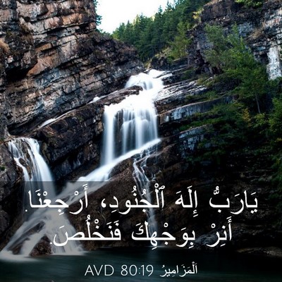 Picture 03 - اَلْمَزَامِيرُ 80:19 AVD - يَارَبُّ إِلَهَ - Bible Verse Picture