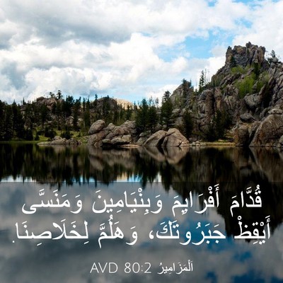 Picture 03 - اَلْمَزَامِيرُ 80:2 AVD - قُدَّامَ أَفْرَايِمَ - Bible Verse Picture