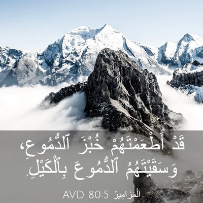 Picture 03 - اَلْمَزَامِيرُ 80:5 AVD - قَدْ أَطْعَمْتَهُمْ - Bible Verse Picture