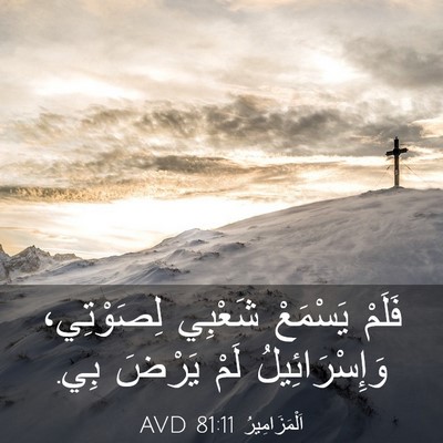 Picture 03 - اَلْمَزَامِيرُ 81:11 AVD - فَلَمْ يَسْمَعْ شَعْبِي - Bible Verse Picture