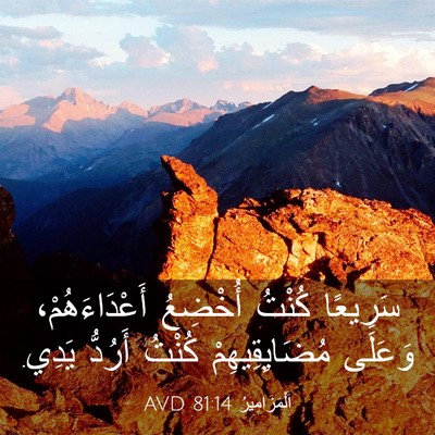 Picture 03 - اَلْمَزَامِيرُ 81:14 AVD - سَرِيعًا كُنْتُ أُخْضِعُ - Bible Verse Picture