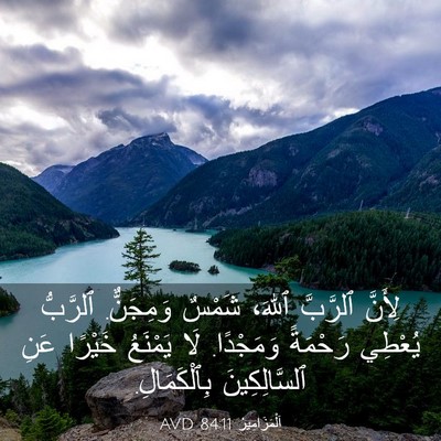 Picture 03 - اَلْمَزَامِيرُ 84:11 AVD - لِأَنَّ ٱلرَّبَّ ٱللهَ، - Bible Verse Picture