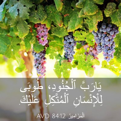 Picture 03 - اَلْمَزَامِيرُ 84:12 AVD - يَارَبَّ ٱلْجُنُودِ، - Bible Verse Picture