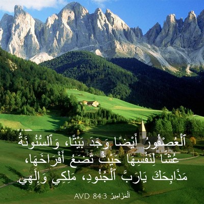 Picture 03 - اَلْمَزَامِيرُ 84:3 AVD - ٱلْعُصْفُورُ أَيْضًا - Bible Verse Picture