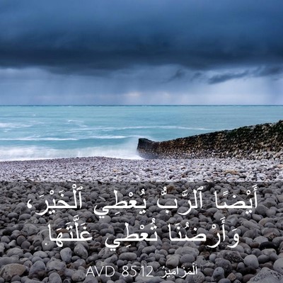 Picture 03 - اَلْمَزَامِيرُ 85:12 AVD - أَيْضًا ٱلرَّبُّ يُعْطِي - Bible Verse Picture