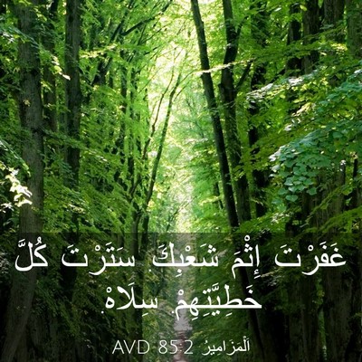 Picture 03 - اَلْمَزَامِيرُ 85:2 AVD - غَفَرْتَ إِثْمَ شَعْبِكَ. - Bible Verse Picture
