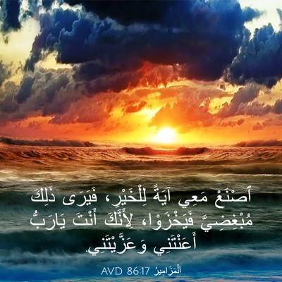 Picture 03 - اَلْمَزَامِيرُ 86:17 AVD - ٱصْنَعْ مَعِي آيَةً - Bible Verse Picture