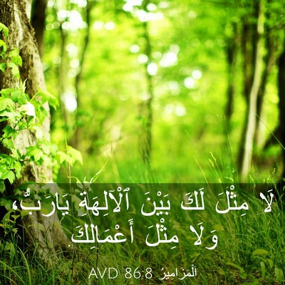 Picture 03 - اَلْمَزَامِيرُ 86:8 AVD - لَا مِثْلَ لَكَ بَيْنَ - Bible Verse Picture