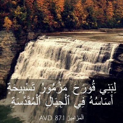 Picture 03 - اَلْمَزَامِيرُ 87:1 AVD - لِبَنِي قُورَحَ. مَزْمُورُ - Bible Verse Picture