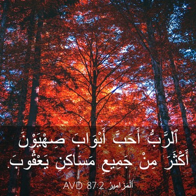 Picture 03 - اَلْمَزَامِيرُ 87:2 AVD - ٱلرَّبُّ أَحَبَّ - Bible Verse Picture