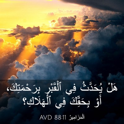 Picture 03 - اَلْمَزَامِيرُ 88:11 AVD - هَلْ يُحَدَّثُ فِي - Bible Verse Picture