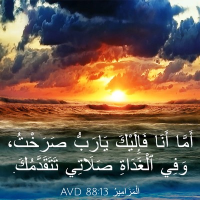 Picture 03 - اَلْمَزَامِيرُ 88:13 AVD - أَمَّا أَنَا فَإِلَيْكَ - Bible Verse Picture