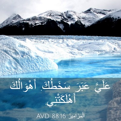 Picture 03 - اَلْمَزَامِيرُ 88:16 AVD - عَلَيَّ عَبَرَ سَخَطُكَ. - Bible Verse Picture