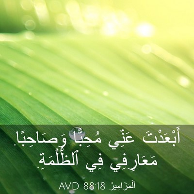 Picture 03 - اَلْمَزَامِيرُ 88:18 AVD - أَبْعَدْتَ عَنِّي - Bible Verse Picture