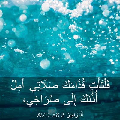 Picture 03 - اَلْمَزَامِيرُ 88:2 AVD - فَلْتَأْتِ قُدَّامَكَ - Bible Verse Picture