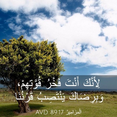 Picture 03 - اَلْمَزَامِيرُ 89:17 AVD - لِأَنَّكَ أَنْتَ فَخْرُ - Bible Verse Picture