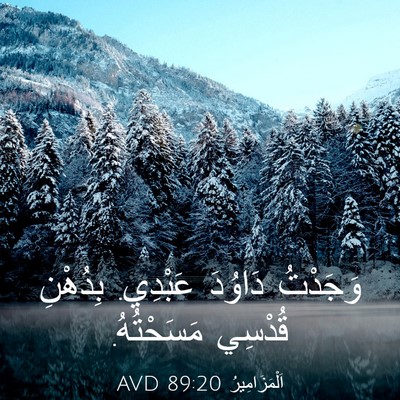 Picture 03 - اَلْمَزَامِيرُ 89:20 AVD - وَجَدْتُ دَاوُدَ عَبْدِي. - Bible Verse Picture