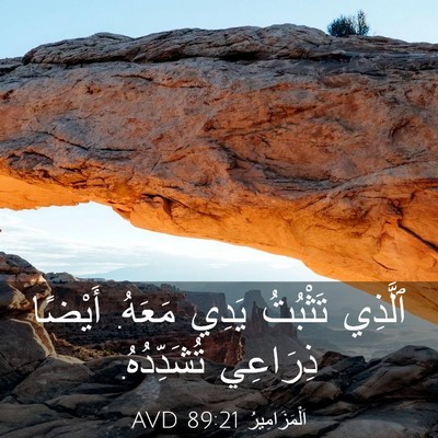Picture 03 - اَلْمَزَامِيرُ 89:21 AVD - ٱلَّذِي تَثْبُتُ يَدِي - Bible Verse Picture