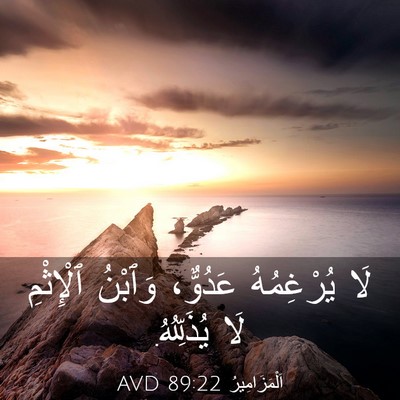 Picture 03 - اَلْمَزَامِيرُ 89:22 AVD - لَا يُرْغِمُهُ عَدُوٌّ، - Bible Verse Picture