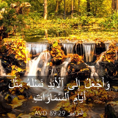Picture 03 - اَلْمَزَامِيرُ 89:29 AVD - وَأَجْعَلُ إِلَى - Bible Verse Picture