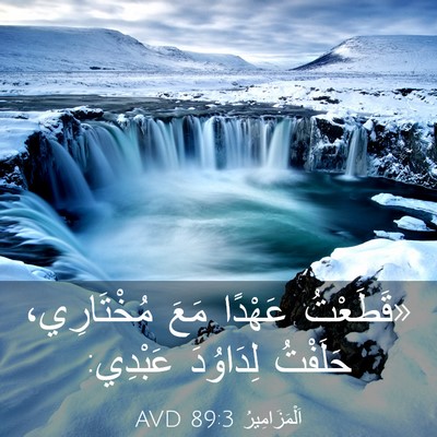 Picture 03 - اَلْمَزَامِيرُ 89:3 AVD - «قَطَعْتُ عَهْدًا مَعَ - Bible Verse Picture