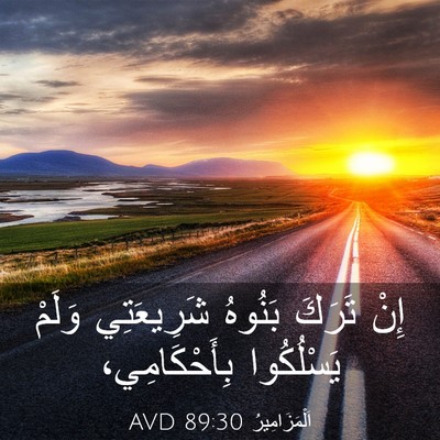 Picture 03 - اَلْمَزَامِيرُ 89:30 AVD - إِنْ تَرَكَ بَنُوهُ - Bible Verse Picture