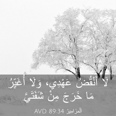 Picture 03 - اَلْمَزَامِيرُ 89:34 AVD - لَا أَنْقُضُ عَهْدِي، - Bible Verse Picture