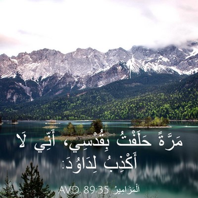 Picture 03 - اَلْمَزَامِيرُ 89:35 AVD - مَرَّةً حَلَفْتُ - Bible Verse Picture