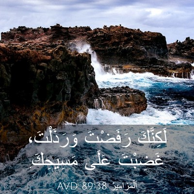 Picture 03 - اَلْمَزَامِيرُ 89:38 AVD - لَكِنَّكَ رَفَضْتَ - Bible Verse Picture
