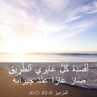 Picture 03 - اَلْمَزَامِيرُ 89:41 AVD - أَفْسَدَهُ كُلُّ عَابِرِي - Bible Verse Picture