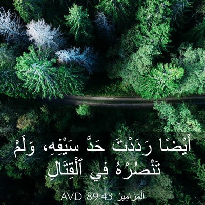 Picture 03 - اَلْمَزَامِيرُ 89:43 AVD - أَيْضًا رَدَدْتَ حَدَّ - Bible Verse Picture