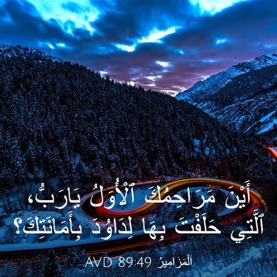 Picture 03 - اَلْمَزَامِيرُ 89:49 AVD - أَيْنَ مَرَاحِمُكَ - Bible Verse Picture