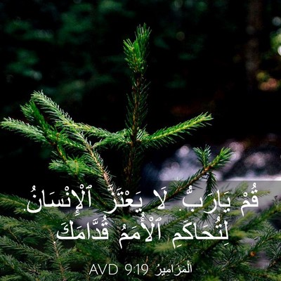 Picture 03 - اَلْمَزَامِيرُ 9:19 AVD - قُمْ يَارَبُّ. لَا - Bible Verse Picture