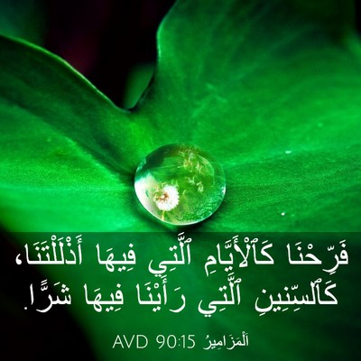 Picture 03 - اَلْمَزَامِيرُ 90:15 AVD - فَرِّحْنَا كَٱلْأَيَّامِ - Bible Verse Picture
