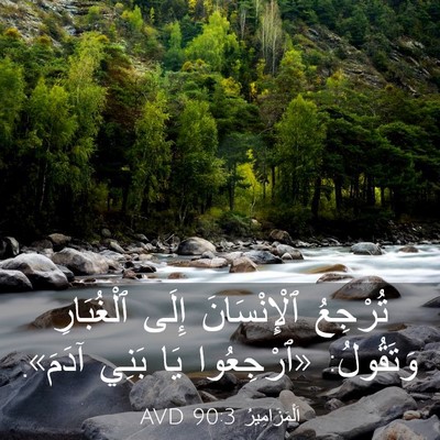 Picture 03 - اَلْمَزَامِيرُ 90:3 AVD - تُرْجِعُ ٱلْإِنْسَانَ - Bible Verse Picture