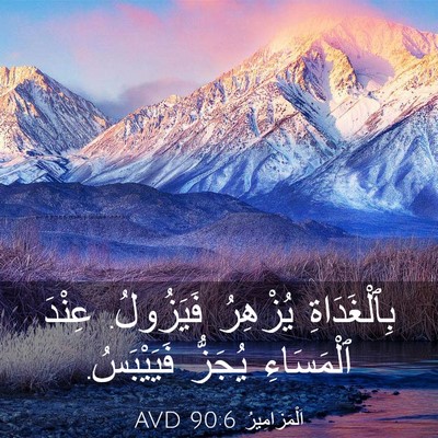 Picture 03 - اَلْمَزَامِيرُ 90:6 AVD - بِٱلْغَدَاةِ يُزْهِرُ - Bible Verse Picture