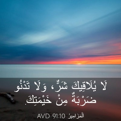 Picture 03 - اَلْمَزَامِيرُ 91:10 AVD - لَا يُلَاقِيكَ شَرٌّ، - Bible Verse Picture