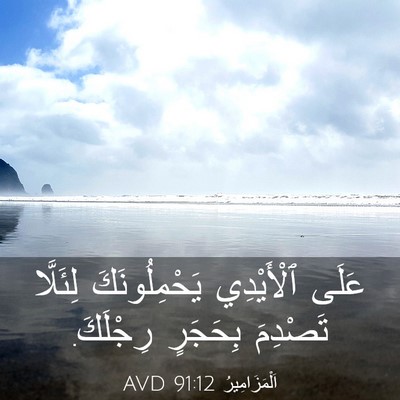 Picture 03 - اَلْمَزَامِيرُ 91:12 AVD - عَلَى ٱلْأَيْدِي - Bible Verse Picture