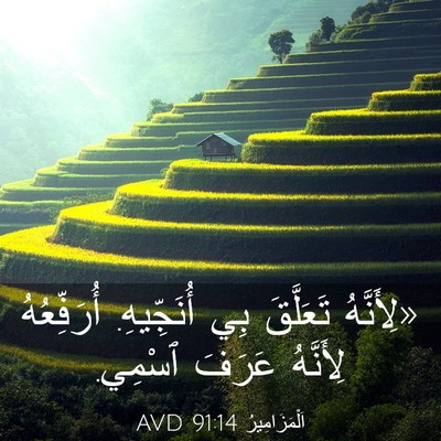 Picture 03 - اَلْمَزَامِيرُ 91:14 AVD - «لِأَنَّهُ تَعَلَّقَ بِي - Bible Verse Picture