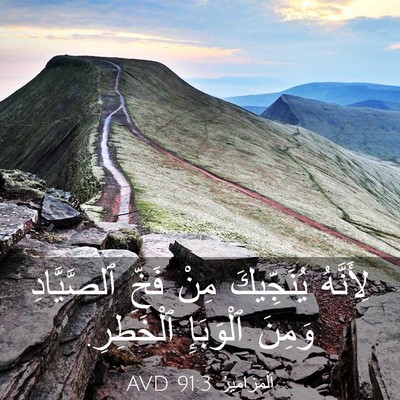 Picture 03 - اَلْمَزَامِيرُ 91:3 AVD - لِأَنَّهُ يُنَجِّيكَ مِنْ - Bible Verse Picture