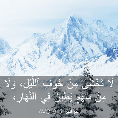 Picture 03 - اَلْمَزَامِيرُ 91:5 AVD - لَا تَخْشَى مِنْ خَوْفِ - Bible Verse Picture