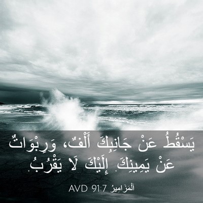 Picture 03 - اَلْمَزَامِيرُ 91:7 AVD - يَسْقُطُ عَنْ جَانِبِكَ - Bible Verse Picture