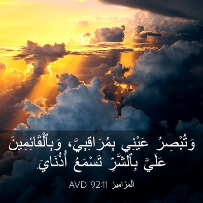 Picture 03 - اَلْمَزَامِيرُ 92:11 AVD - وَتُبْصِرُ عَيْنِي - Bible Verse Picture