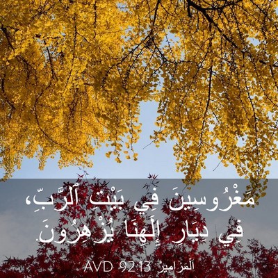 Picture 03 - اَلْمَزَامِيرُ 92:13 AVD - مَغْرُوسِينَ فِي بَيْتِ - Bible Verse Picture