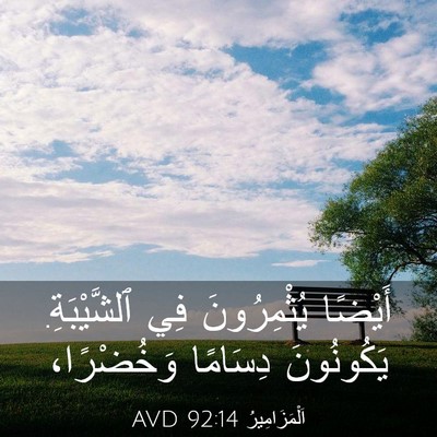 Picture 03 - اَلْمَزَامِيرُ 92:14 AVD - أَيْضًا يُثْمِرُونَ فِي - Bible Verse Picture